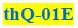 Qura'an thQ-01E Analysis : Concept Details